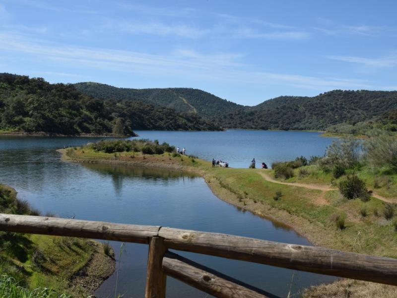 Tejadilla Casita Rural Cerca De Sevilla Con Piscina 외부 사진